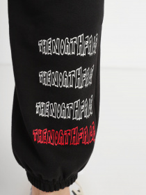 Штаны спортивные The North Face Printed Heavyweight Fleece модель NF0A7WXEJK31 Фото