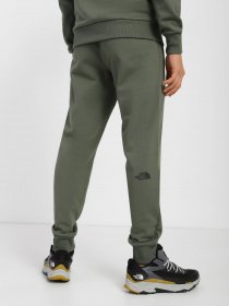 Штаны спортивные The North Face Drew Peak модель NF0A7X1HNYC1 Фото