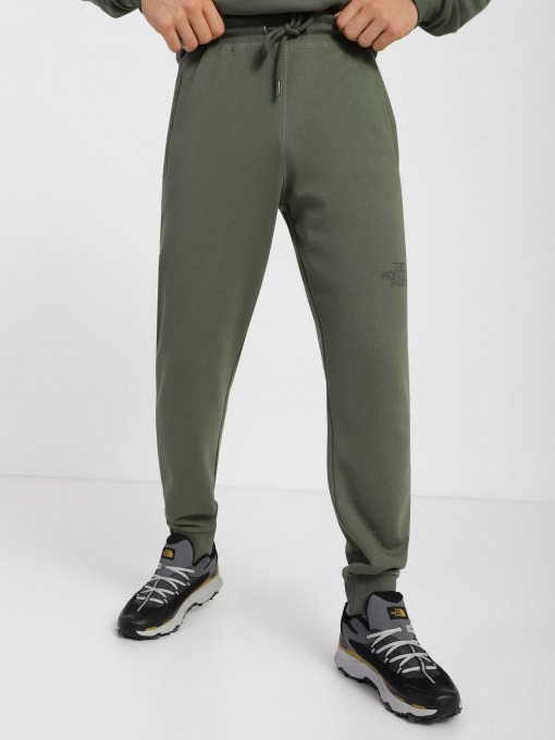 Штаны спортивные The North Face Drew Peak модель NF0A7X1HNYC1 Фото