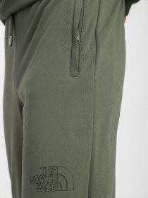 Штаны спортивные The North Face Drew Peak модель NF0A7X1HNYC1 Фото