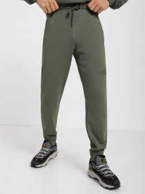 Штаны спортивные The North Face Drew Peak модель NF0A7X1HNYC1 Фото