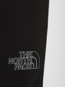 Штаны спортивные The North Face Drew Peak модель NF0A7X1HJK31 Фото