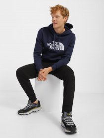 Спортивні штани The North Face Drew Peak модель NF0A7X1HJK31 Фото