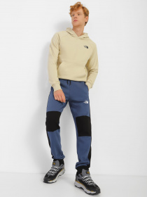 Штаны спортивные The North Face Icon модель NF0A7X1ZHDC1 Фото