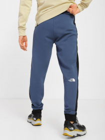 Штаны спортивные The North Face Icon модель NF0A7X1ZHDC1 Фото