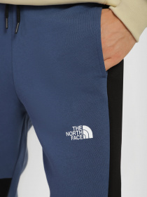 Штаны спортивные The North Face Icon модель NF0A7X1ZHDC1 Фото