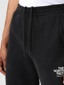 Штаны спортивные The North Face Coordinates модель NF0A7X2JJK31 Фото