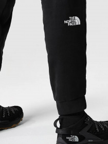 Спортивні штани The North Face Coordinates модель NF0A7X2JJK31 Фото