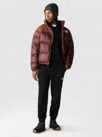 Спортивні штани The North Face Coordinates модель NF0A7X2JJK31 Фото