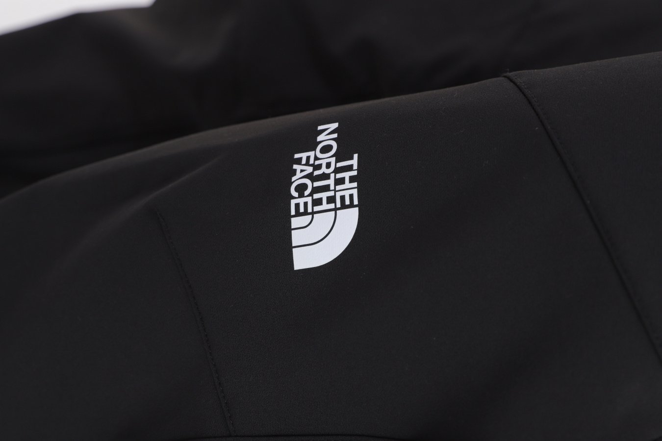 Лыжные штаны The North Face DIABLO REGULAR TAPERED модель NF0A7X6DJK31 Фото