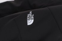 Лыжные штаны The North Face DIABLO REGULAR TAPERED модель NF0A7X6DJK31 Фото