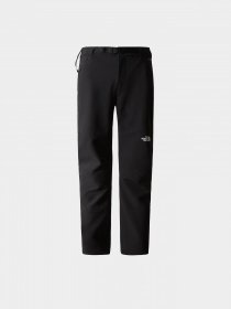 Лыжные штаны The North Face DIABLO REGULAR TAPERED модель NF0A7X6DJK31 Фото