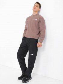 Лыжные штаны The North Face DIABLO REGULAR TAPERED модель NF0A7X6DJK31 Фото