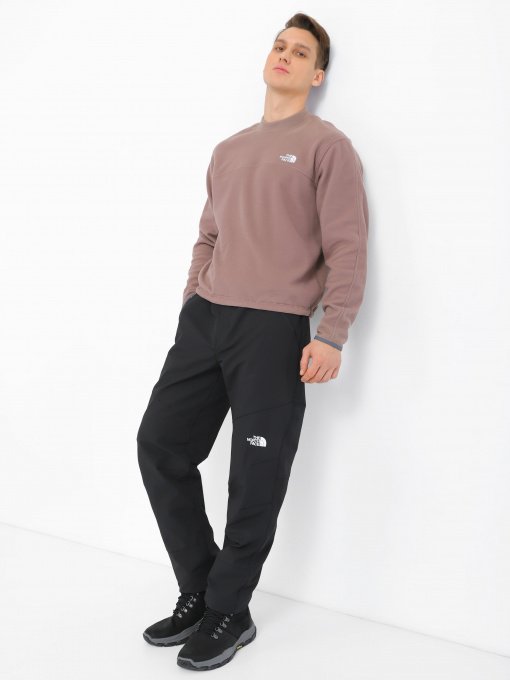 Лыжные штаны The North Face DIABLO REGULAR TAPERED модель NF0A7X6DJK31 Фото