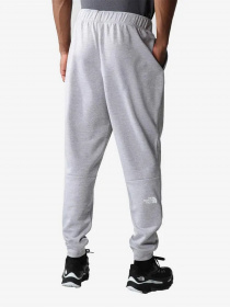 Штаны спортивные The North Face REAXION POLAR модель NF0A7Z9PDYX1 Фото