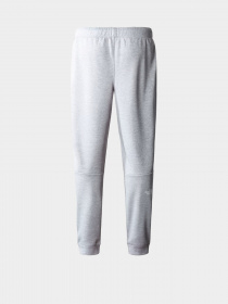 Спортивні штани The North Face REAXION POLAR модель NF0A7Z9PDYX1 Фото