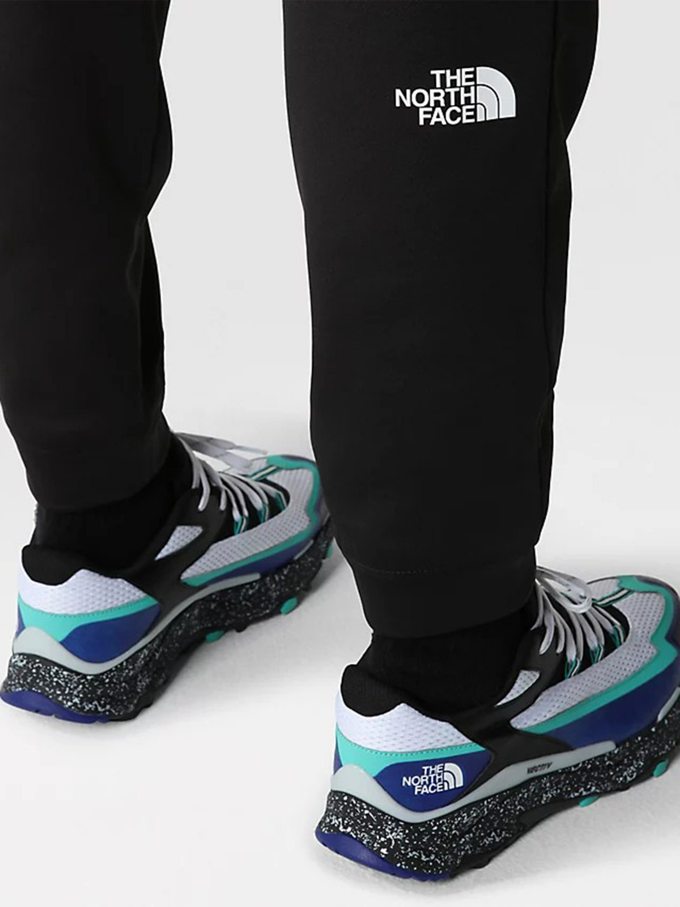 Штани спортивні The North Face Reaxion Fleece модель NF0A7Z9PJK31 Фото