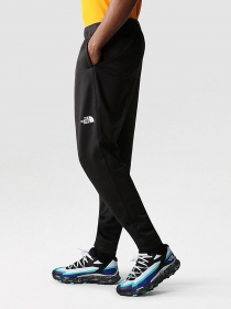 Штани спортивні The North Face Reaxion Fleece модель NF0A7Z9PJK31 Фото