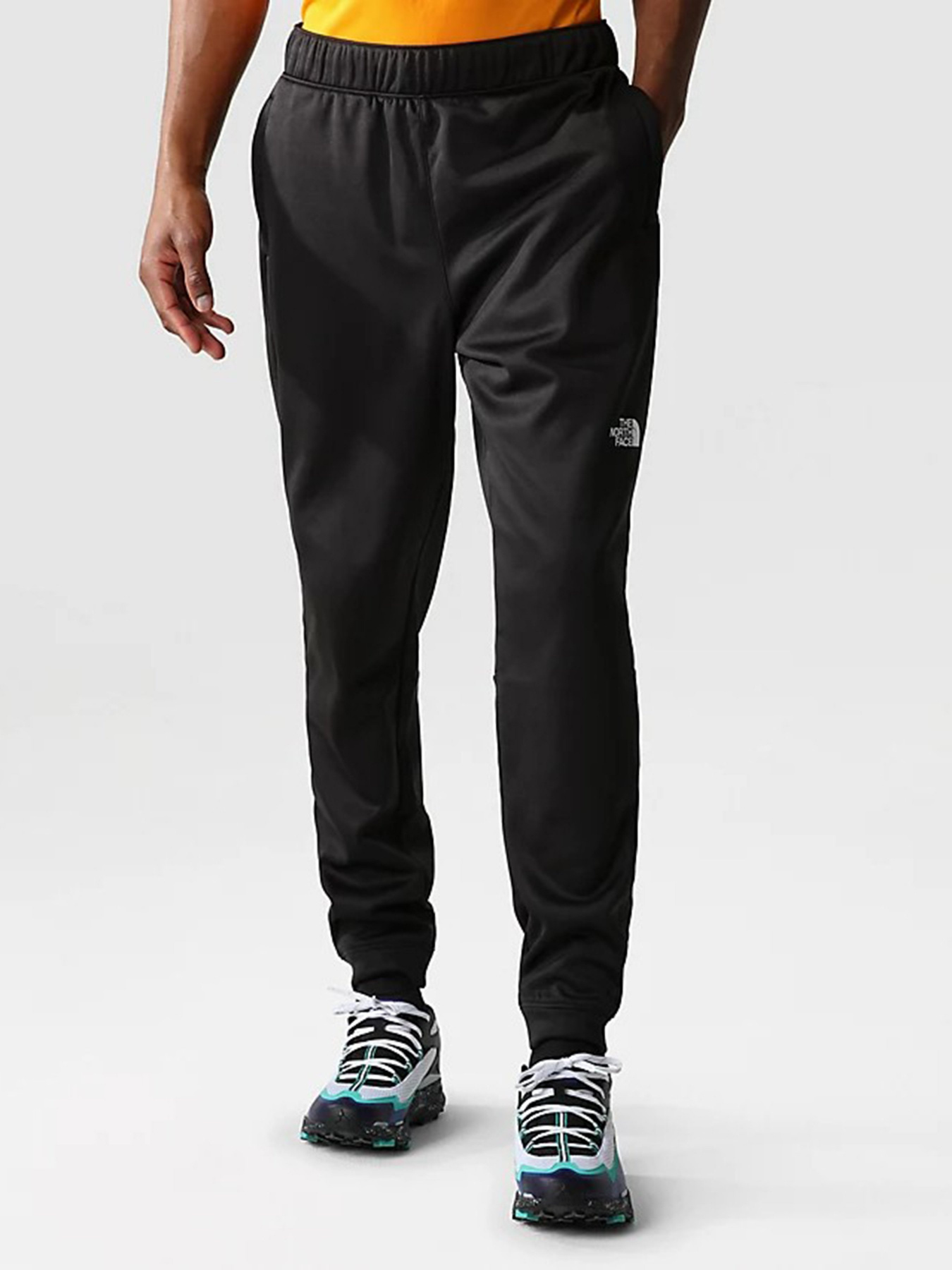 Спортивні штани The North Face Reaxion Fleece модель NF0A7Z9PJK31 Фото