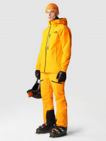 Лыжные штаны The North Face Chakal Pant модель NF0A5IYV78M1 Фото