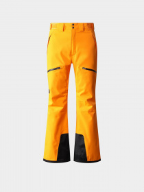 Лыжные штаны The North Face Chakal Pant модель NF0A5IYV78M1 Фото
