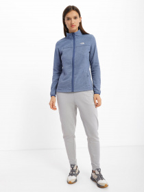 Кофта The North Face Homesafe Full Zip модель NF0A55HO8401 Фото
