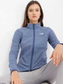 Кофта The North Face Homesafe Full Zip модель NF0A55HO8401 Фото