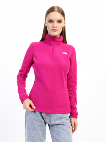 Кофта The North Face Resolve 1/4 Zip модель NF0A4SVX1461 Фото