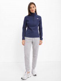 Кофта The North Face Resolve 1/4 Zip модель NF0A4SVX8K21 Фото