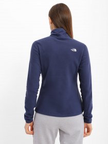 Кофта The North Face Resolve 1/4 Zip модель NF0A4SVX8K21 Фото