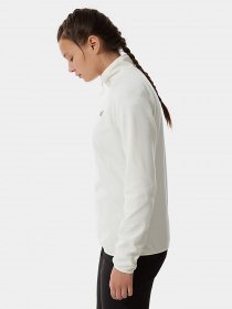 Кофта The North Face 100 Glacier 1/4 Zip модель NF0A5IHNN3N1 Фото