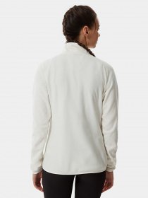 Кофта The North Face 100 Glacier 1/4 Zip модель NF0A5IHNN3N1 Фото