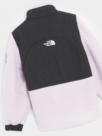 Кофта The North Face Denali модель NF0A7X386S11 Фото