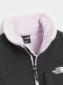 Кофта The North Face Denali модель NF0A7X386S11 Фото