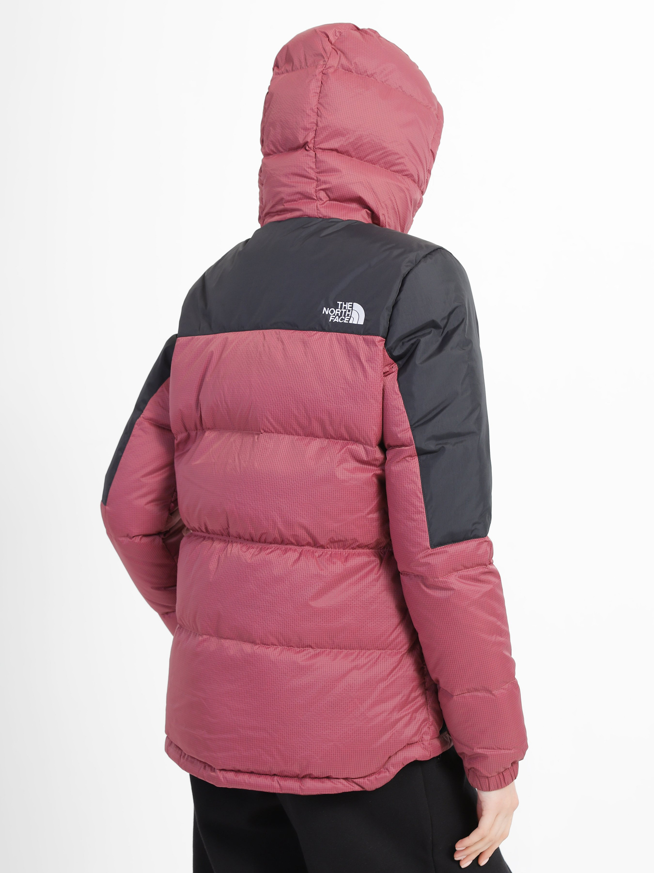 Зимова куртка The North Face Diablo модель NF0A55H486H1 Фото