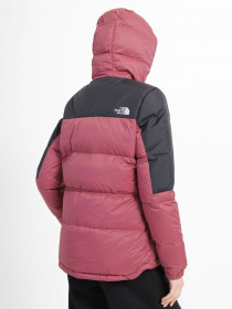 Зимова куртка The North Face Diablo модель NF0A55H486H1 Фото