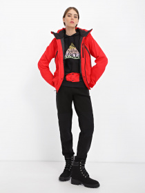 Вітровка The North Face Face Lenado модель NF0A4R1M6821 Фото