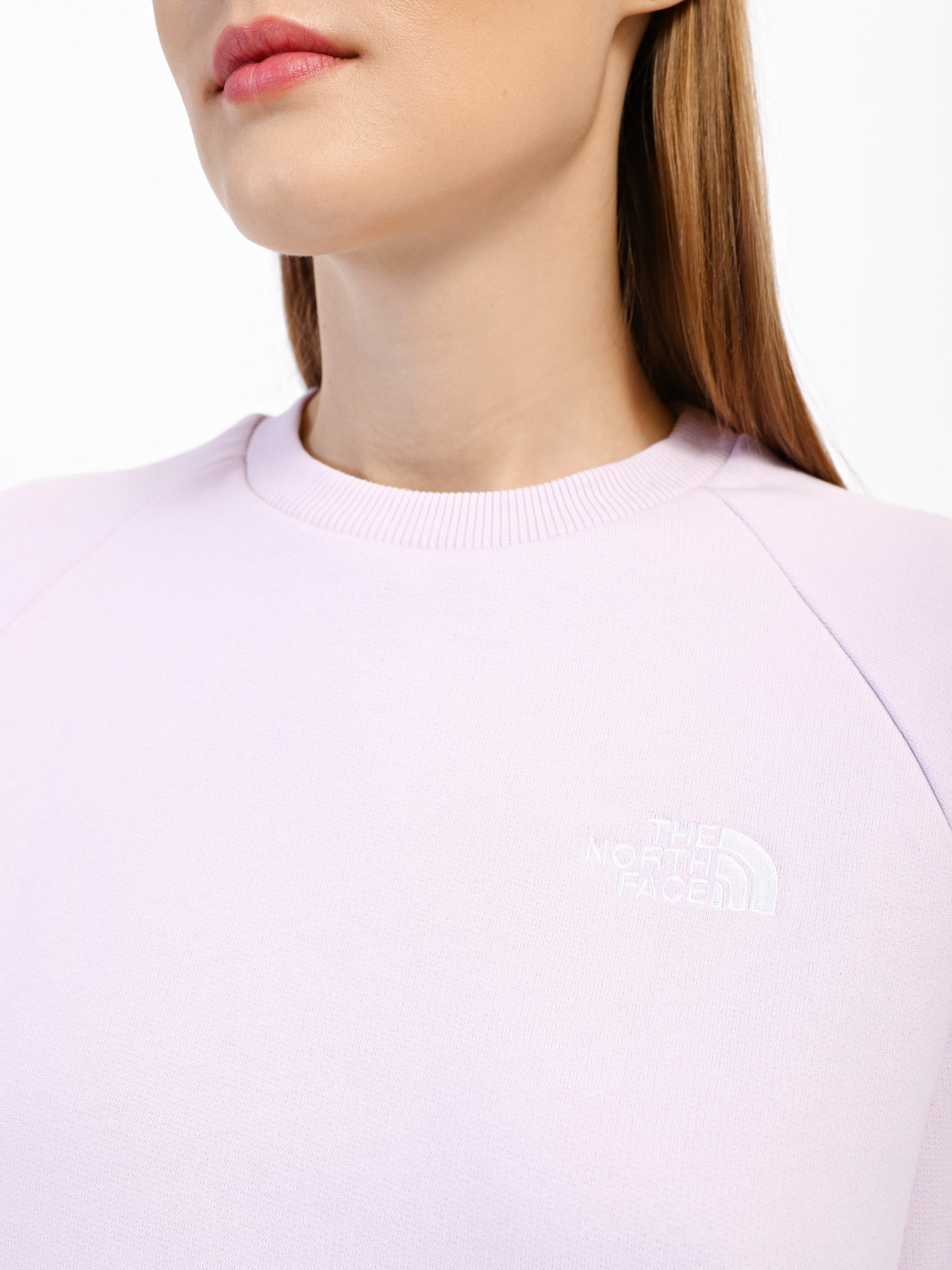 Свитшот The North Face Oversize модель NF0A55GR6S11 Фото