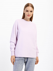 Свитшот The North Face Oversize модель NF0A55GR6S11 Фото