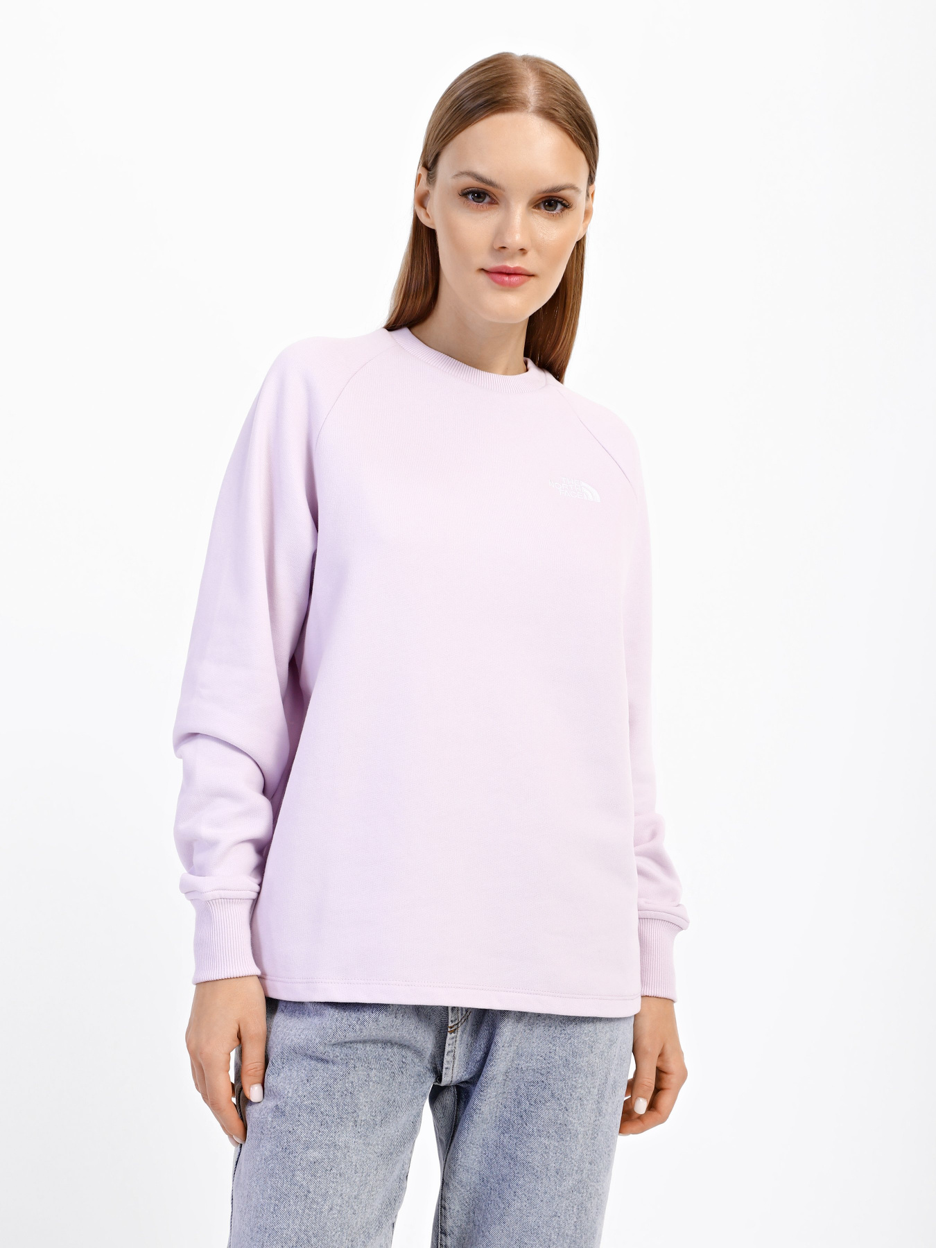 Свитшот The North Face Oversize модель NF0A55GR6S11 Фото