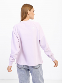 Свитшот The North Face Oversize модель NF0A55GR6S11 Фото