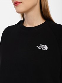 Свитшот The North Face Oversize модель NF0A55GRJK31 Фото