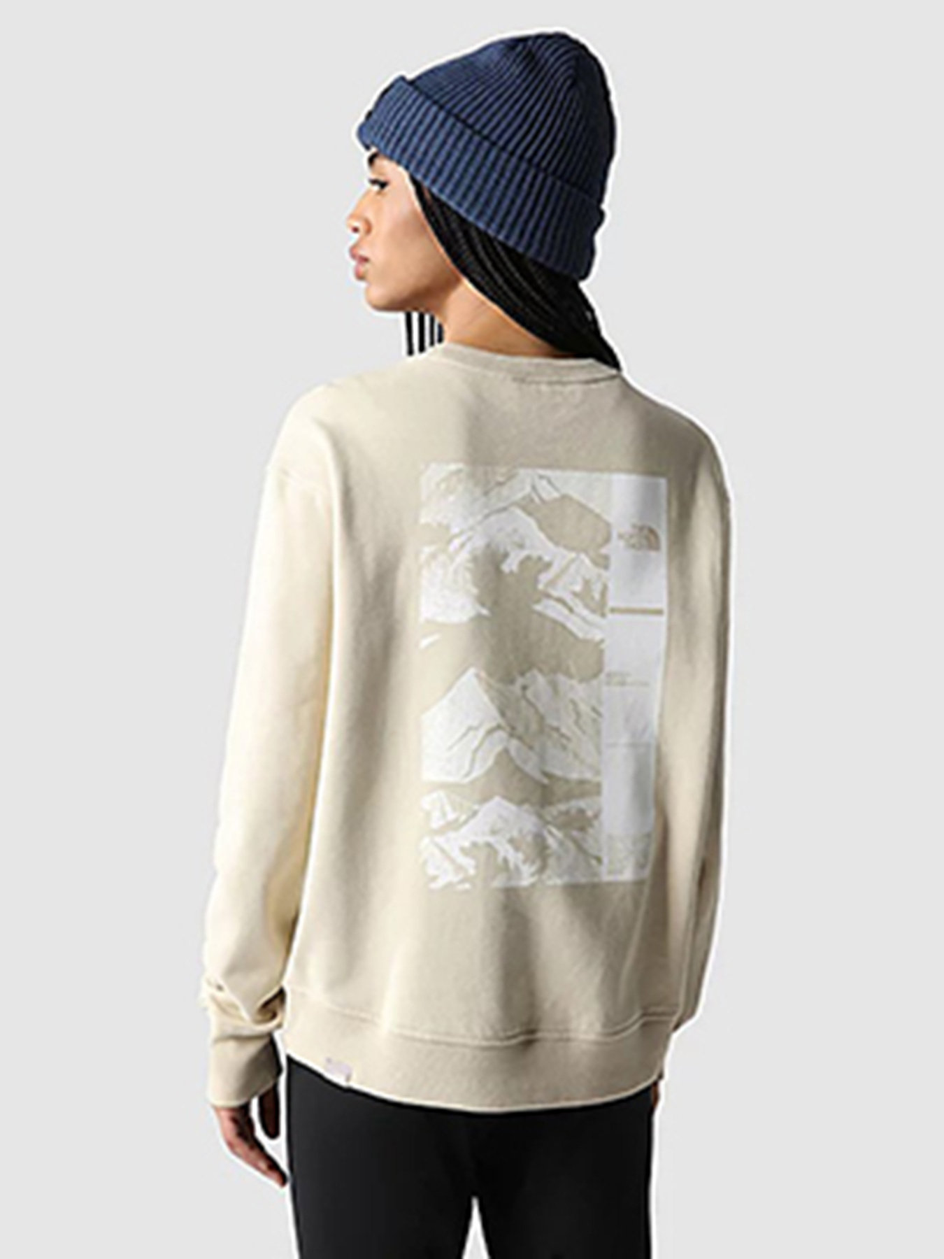 Світшот The North Face Seasonal Fine модель NF0A7X2F3X41 Фото