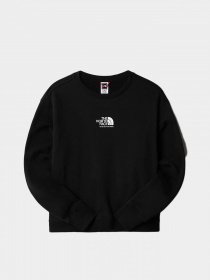 Свитшот The North Face COORDINATES модель NF0A7X2FJK31 Фото