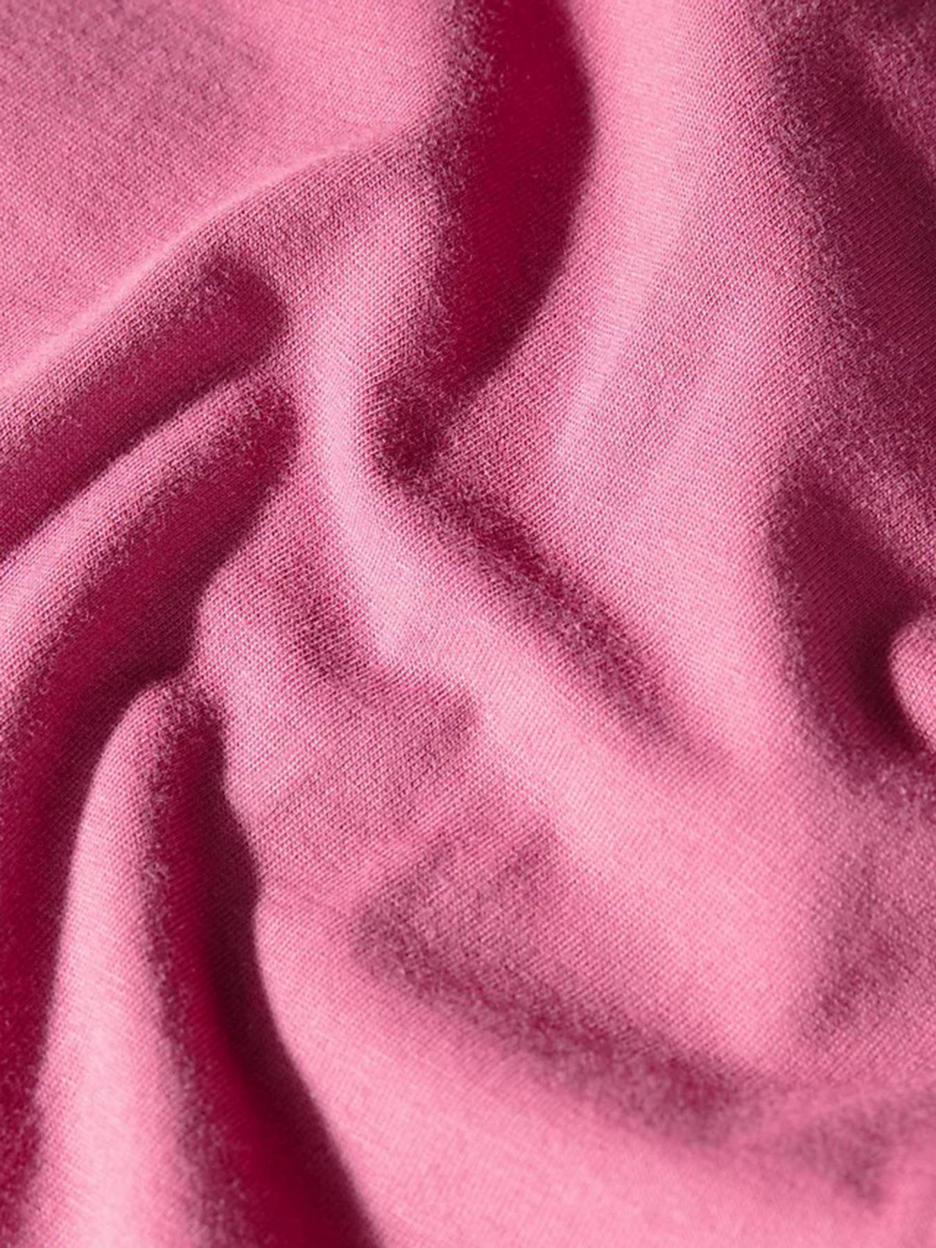 Футболка The North Face Seasonal Fine Short-sleeve модель NF0A7X3F7481 Фото