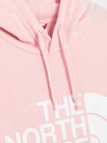 Худи The North Face Standard модель NF0A4M7C6R01 Фото