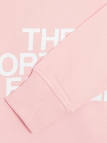 Худі The North Face Standard модель NF0A4M7C6R01 Фото