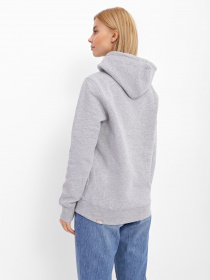 Худі The North Face DREW PEAK модель NF0A55ECGAV1 Фото