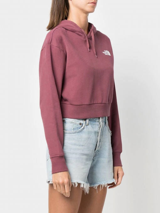 Худи The North Face модель NF0A5ICY6R41 Фото