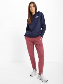 Штаны спортивные The North Face Nse модель NF0A55GS6R41 Фото